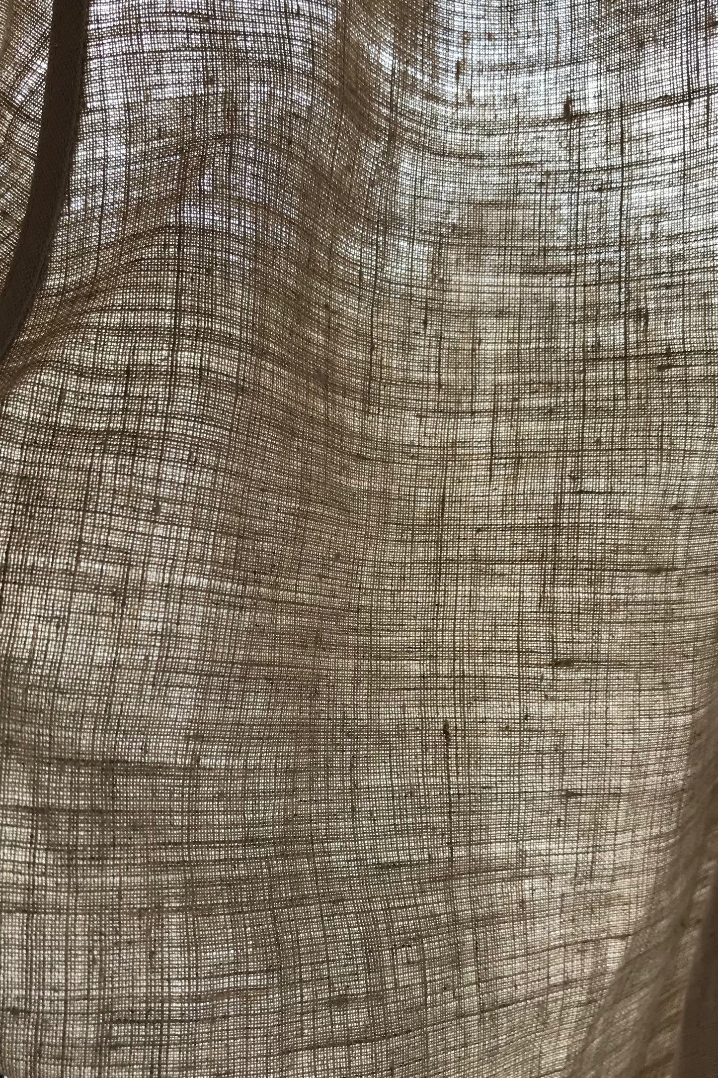 First Born (cord elastic)